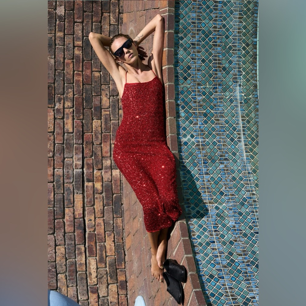 BNWT Zara ZW Collection Sequin Dress